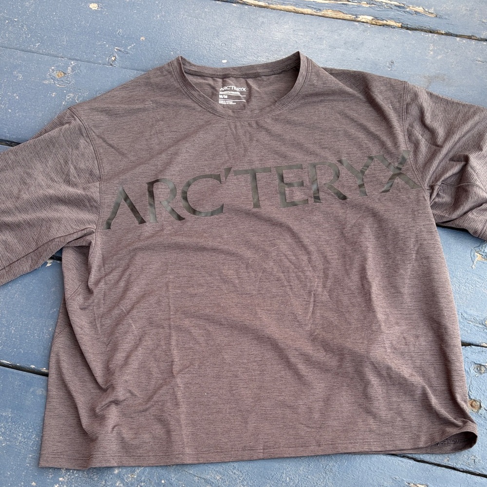 Arc'teryx grey brown Heather Logo Tee